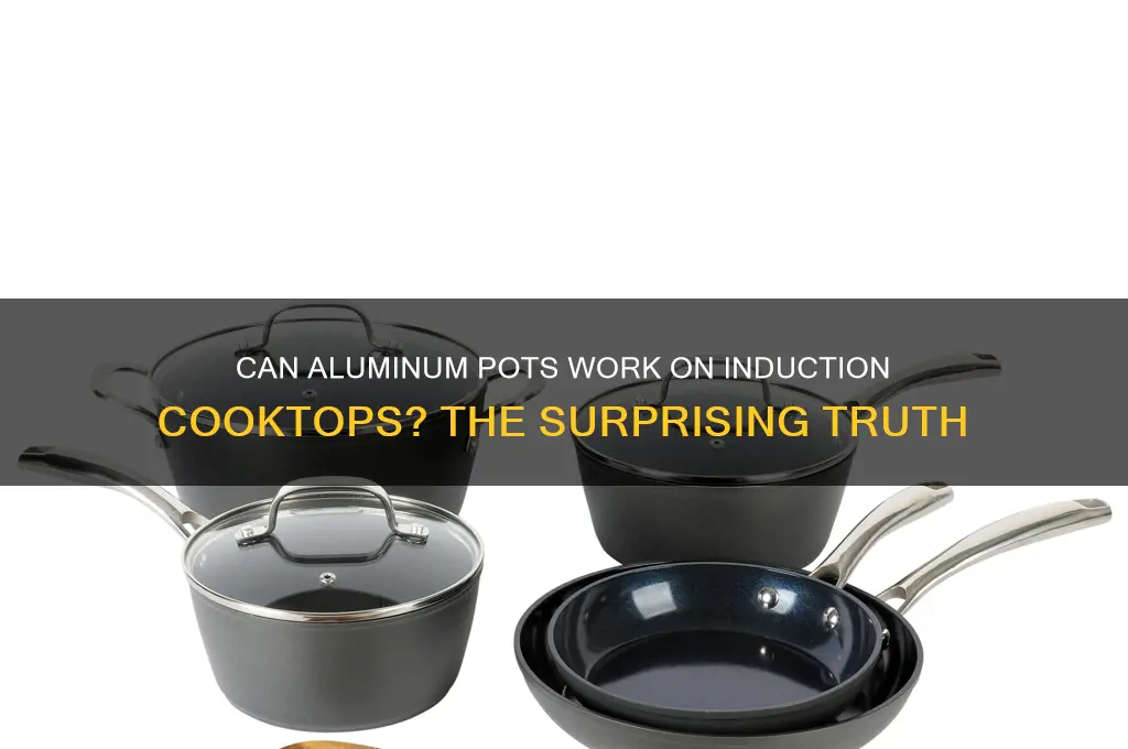 is aluminum cooking pots cooks with induction