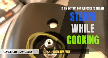 Instant Pot: Steam Release While Cooking, Safe or Not?