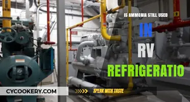 Ammonia in RV Refrigeration: Still a Common Practice Today?