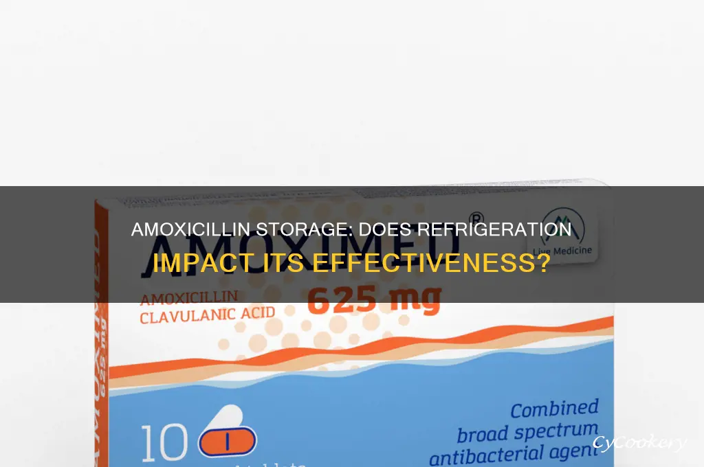 is amoxicillin still effective if not refrigerated