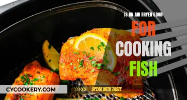 Air Fryer Fish: A Golden Recipe for Healthy Cooking