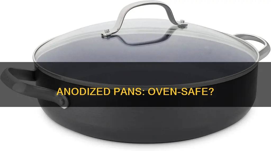 is an annodized pan oven safe