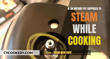 Steaming Instant Pot: What's Normal and What's Not?