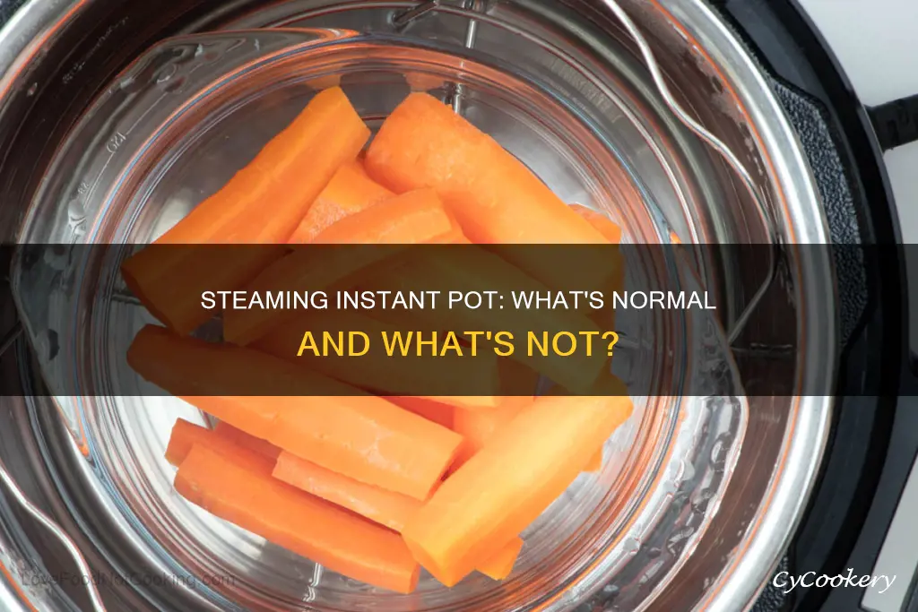 is an instant pot supposed to steam while cooking