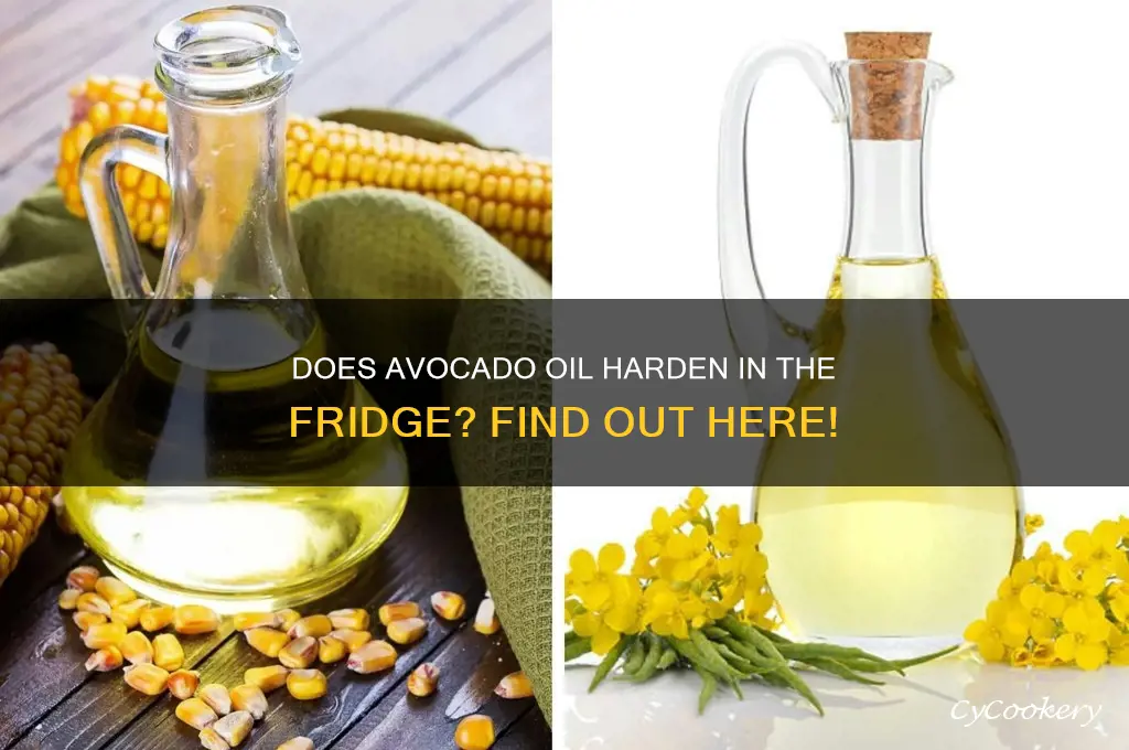 is avocado oil solid in the refrigerator