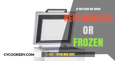 Does Refrigeration or Freezing Kill Bacteria? The Cold Truth Revealed