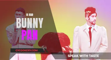 Bad Bunny's Pansexuality: Exploring His Art and Identity