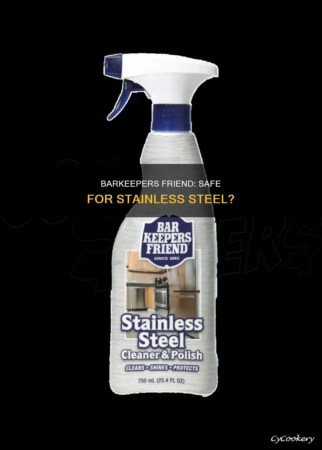 is barkeepers friend safe for stainless steel pans