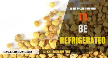 Should Bee Pollen Be Refrigerated? Storage Tips for Optimal Freshness