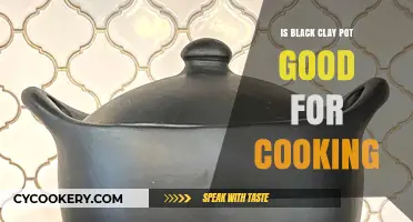 Black Clay Pot Cooking Benefits: Healthier, Tastier Meals or Myth?