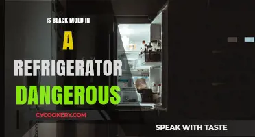 Black Mold in Your Fridge: Health Risks and Safe Removal Tips