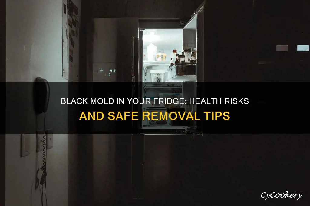 is black mold in a refrigerator dangerous