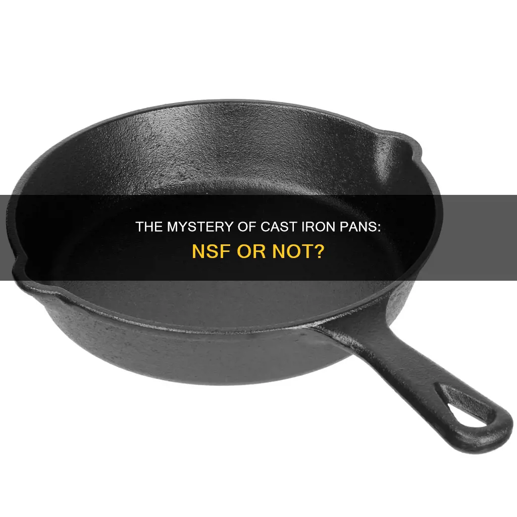 is cast iron pan nsf