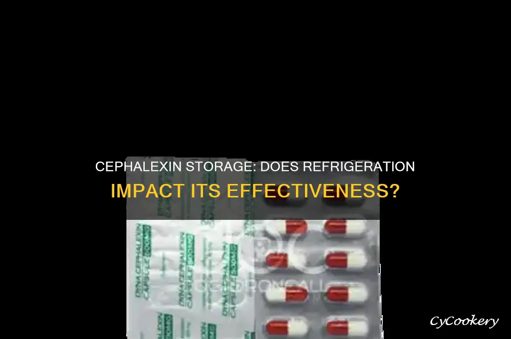 is cephalexin still effective if not refrigerated