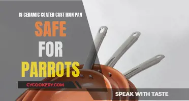 Parrot-Proofing Your Kitchen: Are Ceramic Coated Cast Iron Pans Safe?