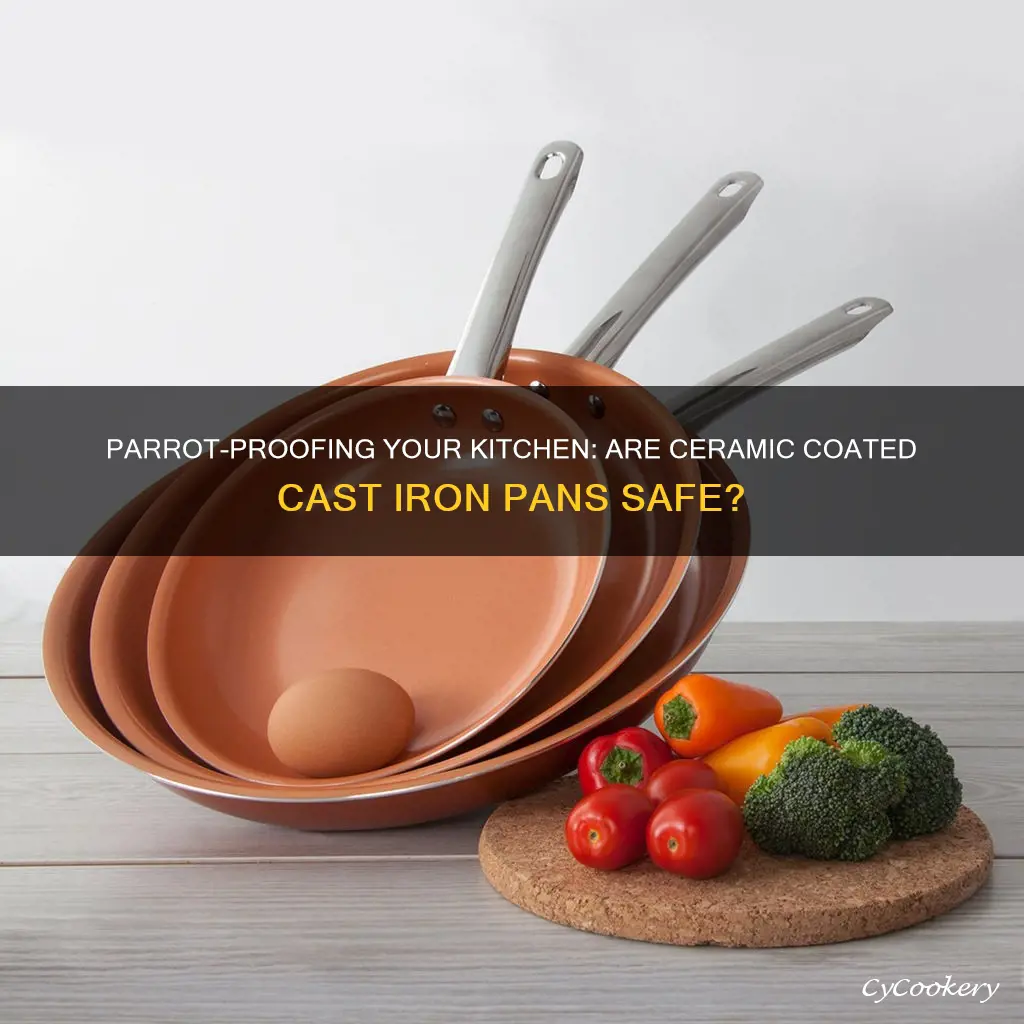 is ceramic coated cast iron pan safe for parrots