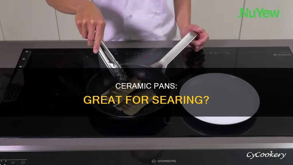 is ceramic pan good for searing