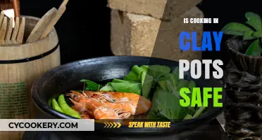 Is Cooking in Clay Pots Safe? Health Benefits and Risks Explained
