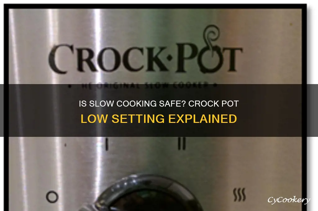 is cooking safe on low setting crock pot