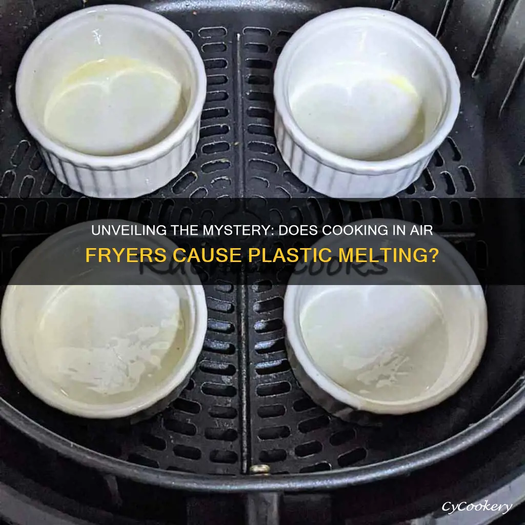 is cooks air fryer have melted plastic