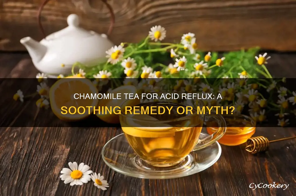 is cozy chamomile tea good for acid reflux