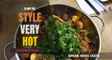 The Fiery Dry Pot Style: A Culinary Adventure