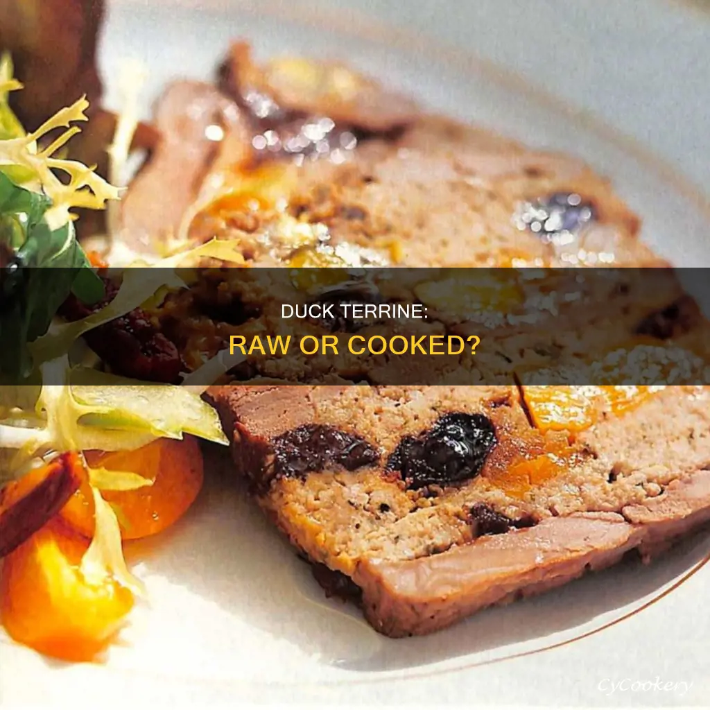 is duck terrine raw