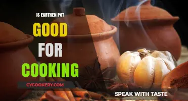 Earthen Pot Cooking Benefits: Healthier, Tastier, and Eco-Friendly Meals