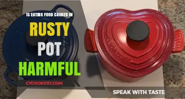 Rusty Cookware Risks: Is Eating Food from Rusty Pots Harmful?