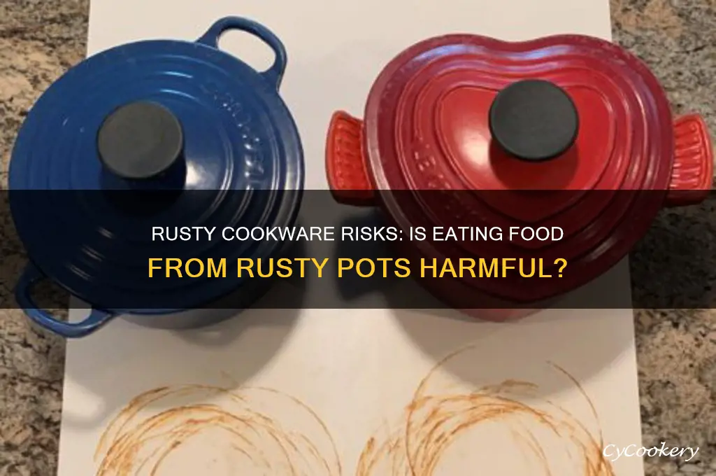 is eating food cooked in rusty pot harmful