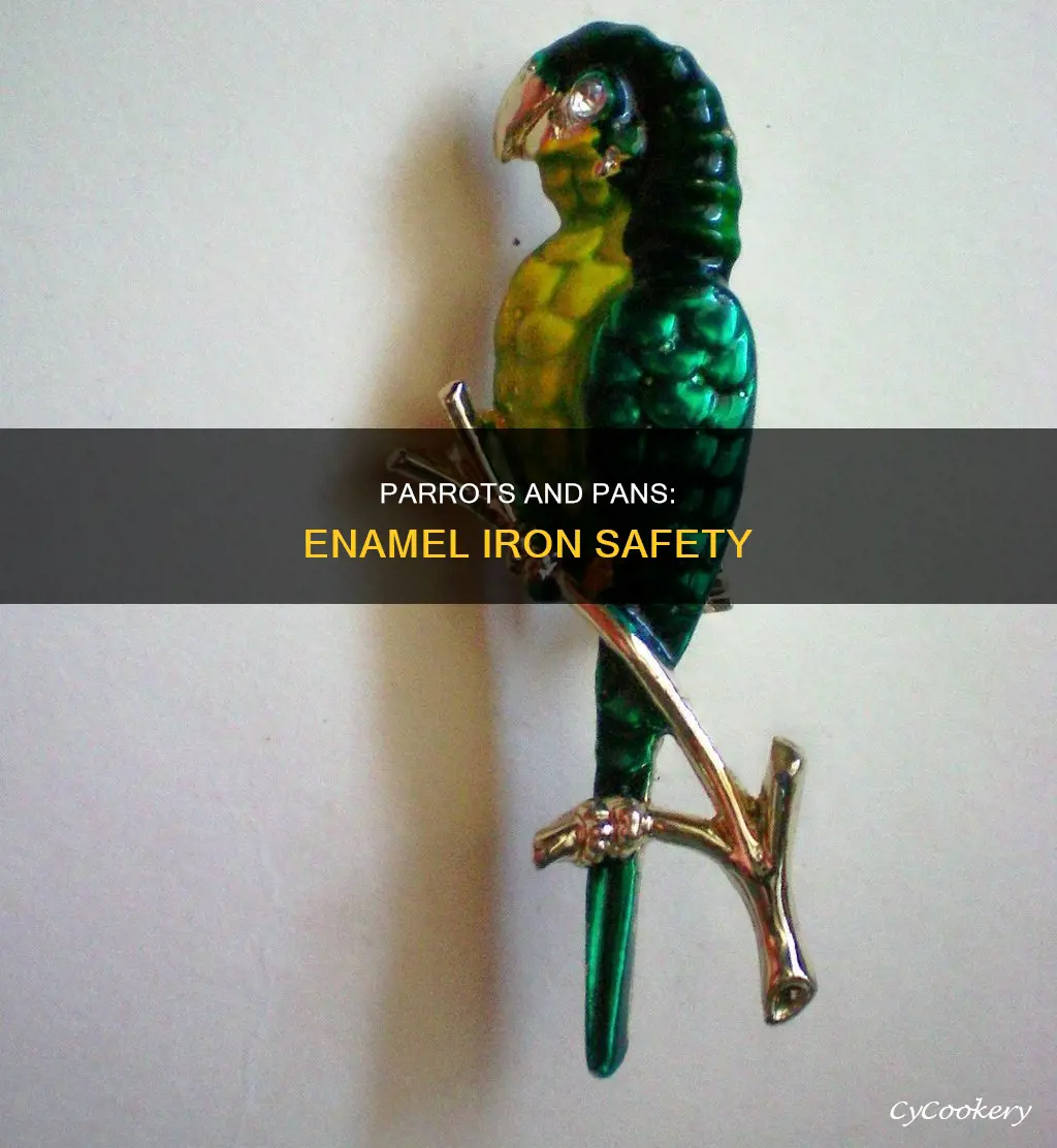 is enamel cast iron pan safe for parrots