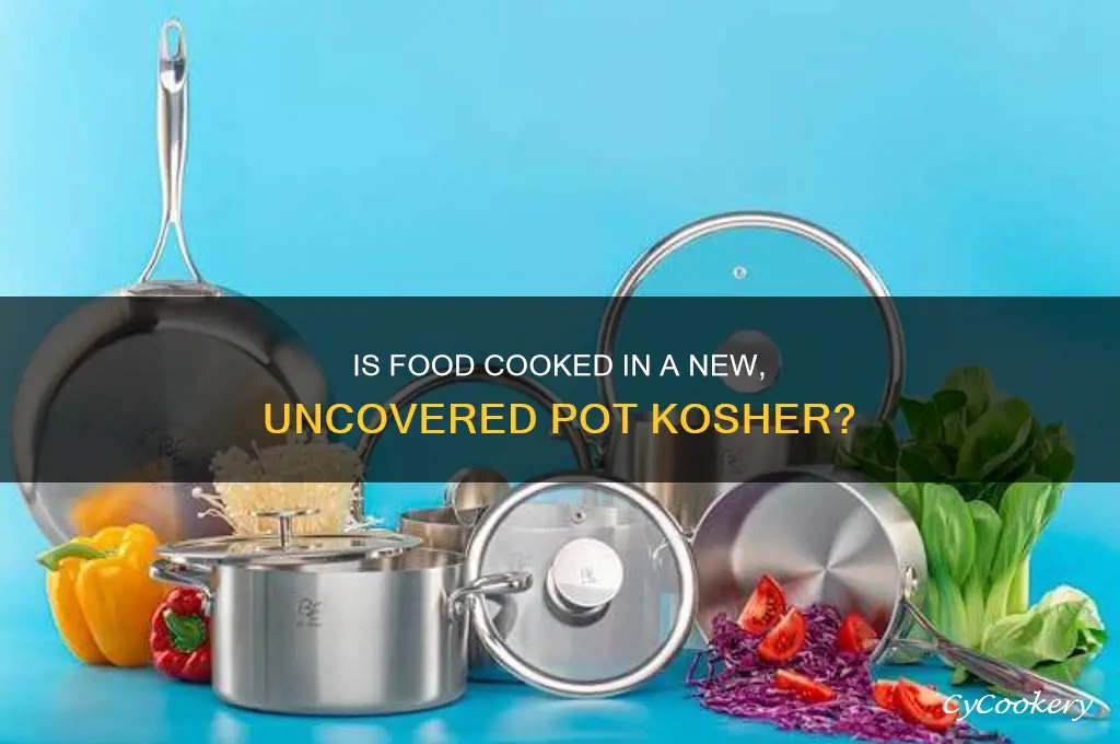 is food cooked in a new but untoveled pot kosher