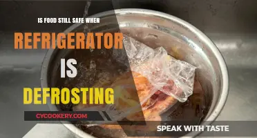 Food Safety During Defrosting: What You Need to Know