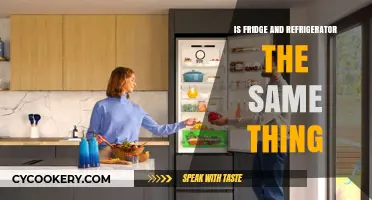 Fridge vs. Refrigerator: Are They Interchangeable or Different Appliances?