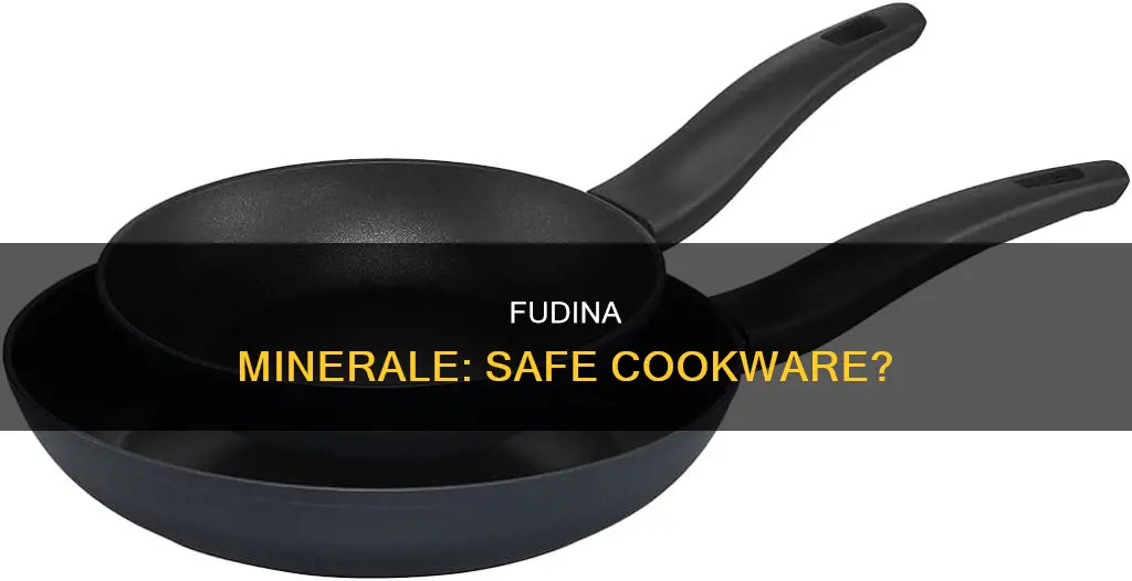 is fudina minerale pan safe