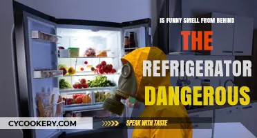 Unraveling the Mystery: Is That Funny Smell from Behind the Fridge Dangerous?
