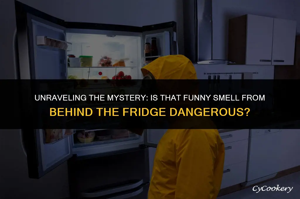 is funny smell from behind the refrigerator dangerous