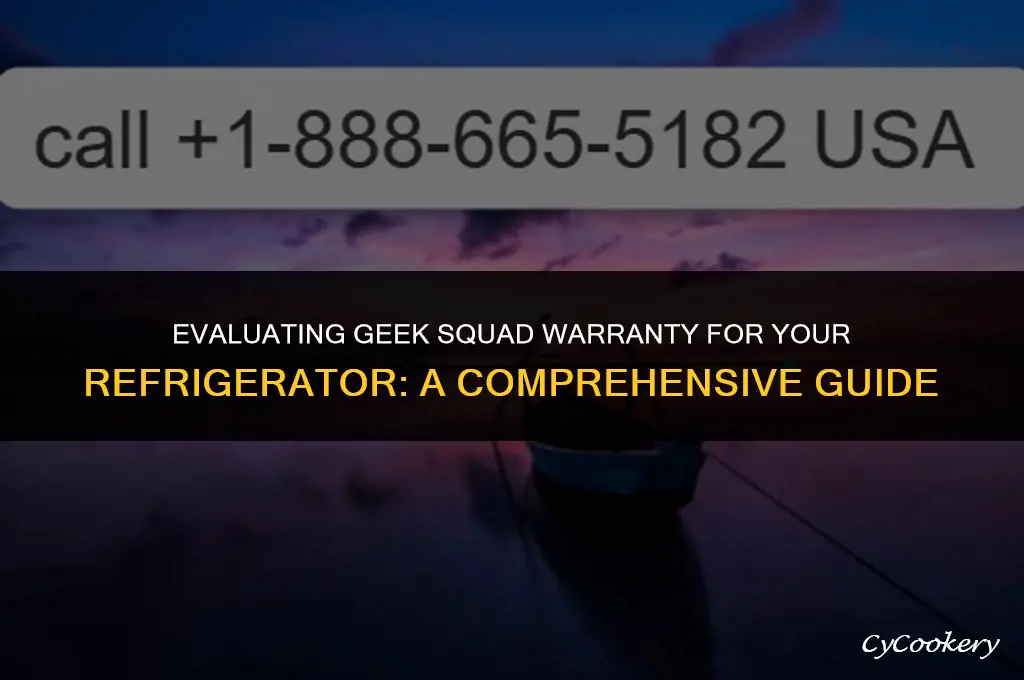 is geek squad warranty on refrigerator worth it