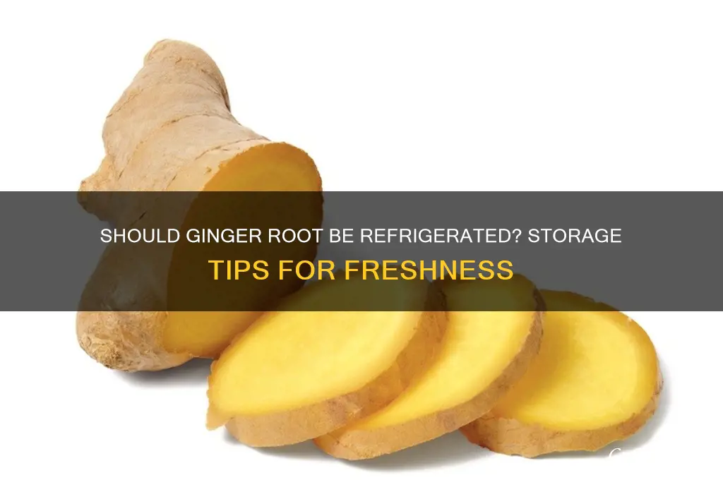 is ginger root supposed to be refrigerated