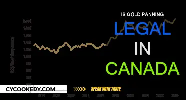 Gold Panning in Canada: What's the Law?