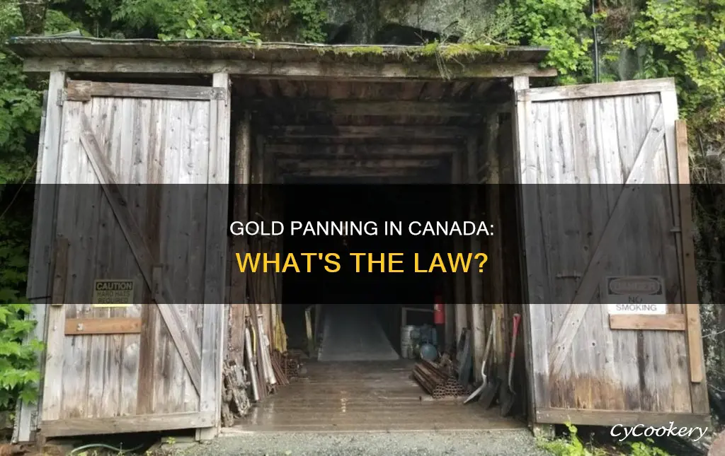 is gold panning legal in canada