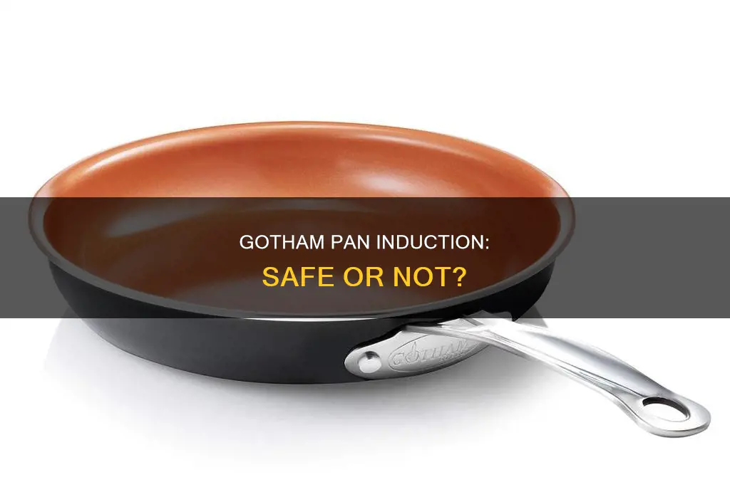 is gotham pan induction safe