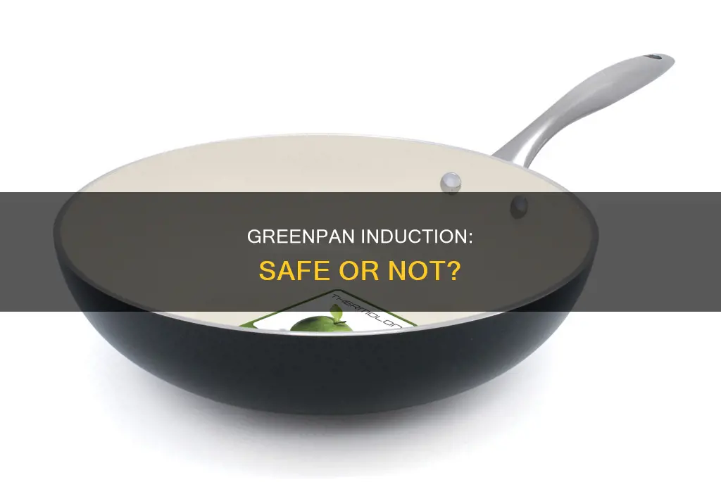 is green pan induction safe