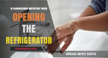 Handwashing Before Opening the Fridge: A Crucial Hygiene Habit?
