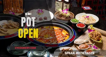 Hot Pot's Open Secret: A Culinary Delight Unveiled