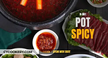 The Great Debate: Is Hot Pot Spicy? Exploring the World of Flavors