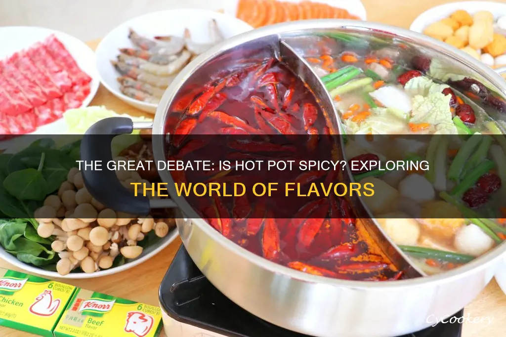 is hot pot spicy