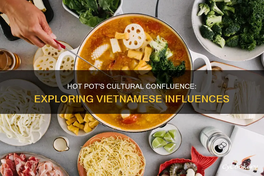 is hot pot vietnamese