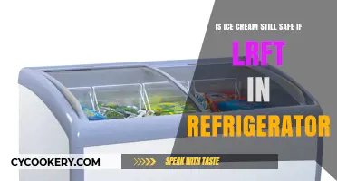 Chill or Toss? The Ice Cream Refrigeration Dilemma Explained