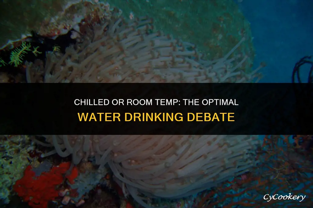 is is better to drink room temperature or refrigerated